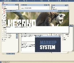 screen shot de l'image editor et de l'image viewer